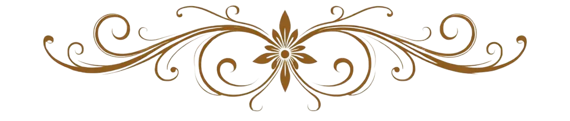 Divider Image